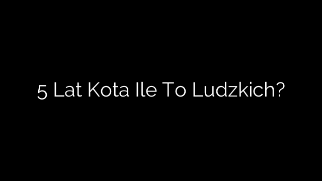 5 Lat Kota Ile To Ludzkich?