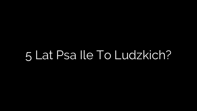 5 Lat Psa Ile To Ludzkich?