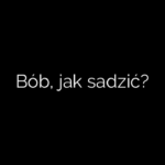 Bób, jak sadzić?