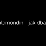 Calamondin – jak dbać?