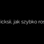 Cis hicksii, jak szybko rośnie?