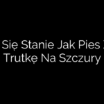 Co Się Stanie Jak Pies Zje Trutkę Na Szczury