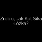 Co Zrobić, Jak Kot Sika do Łóżka?