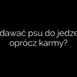Co dawać psu do jedzenia oprócz karmy?