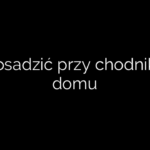 Co posadzić przy chodniku do domu