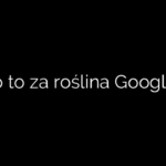 Co to za roślina Google?