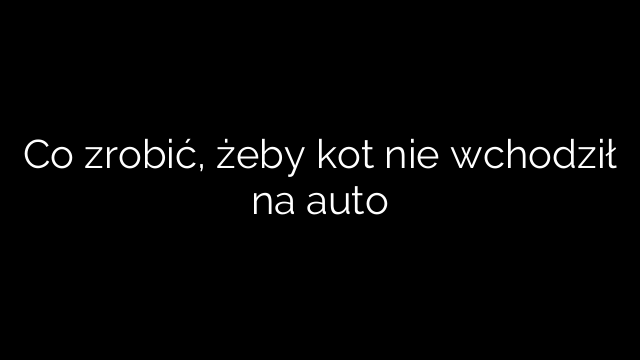 Co zrobić, żeby kot nie wchodził na auto