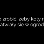 Co zrobić, żeby koty nie załatwiały się w ogrodzie