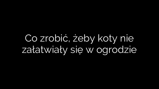 Co zrobić, żeby koty nie załatwiały się w ogrodzie