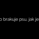 Czego brakuje psu, jak je kupy