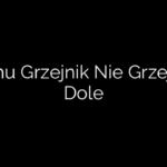 Czemu Grzejnik Nie Grzeje Na Dole