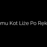 Czemu Kot Liże Po Rękach