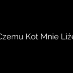 Czemu Kot Mnie Liże