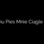 Czemu Pies Mnie Ciągle Liże?