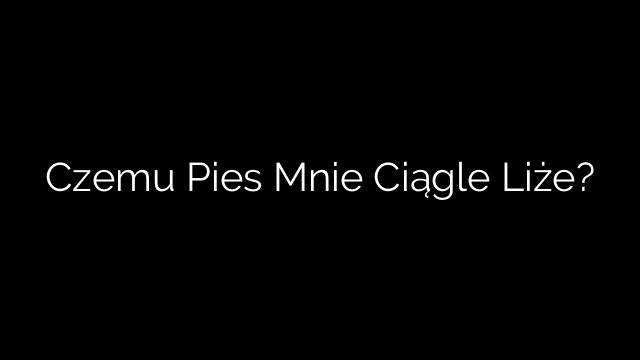 Czemu Pies Mnie Ciągle Liże?