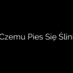 Czemu Pies Się Ślini