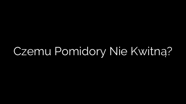 Czemu Pomidory Nie Kwitną?