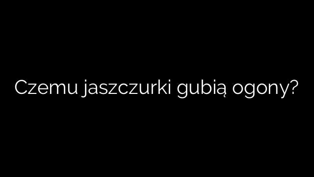 Czemu jaszczurki gubią ogony?