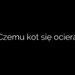 Czemu kot się ociera