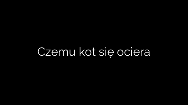 Czemu kot się ociera