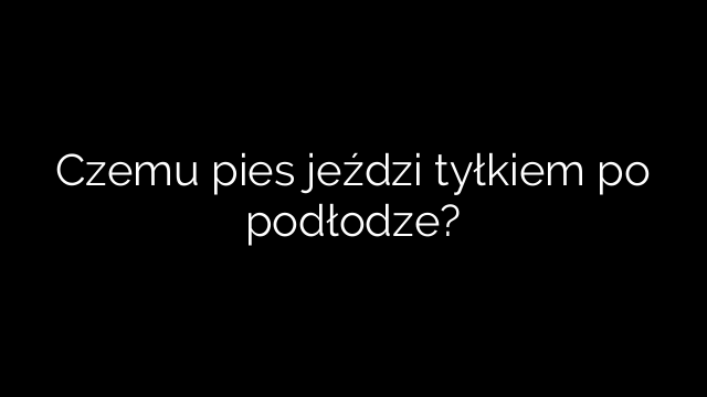 Czemu pies jeździ tyłkiem po podłodze?