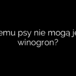 Czemu psy nie mogą jeść winogron?
