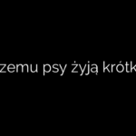 Czemu psy żyją krótko