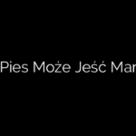 Czy Pies Może Jeść Mango?