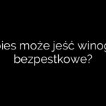 Czy pies może jeść winogrona bezpestkowe?
