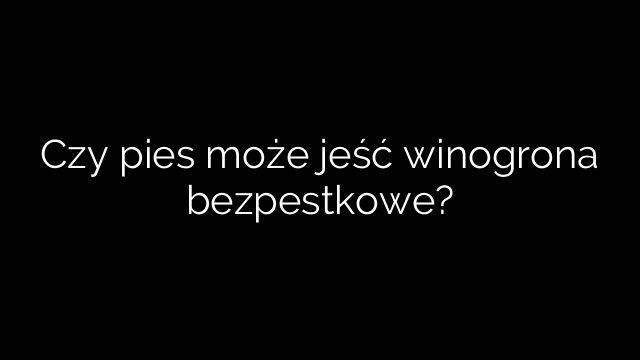 Czy pies może jeść winogrona bezpestkowe?