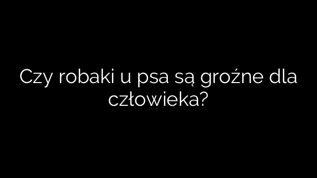 Czy robaki u psa są groźne dla człowieka?
