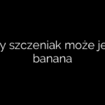 Czy szczeniak może jeść banana