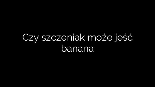 Czy szczeniak może jeść banana