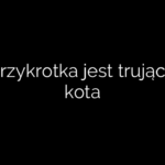 Czy trzykrotka jest trująca dla kota