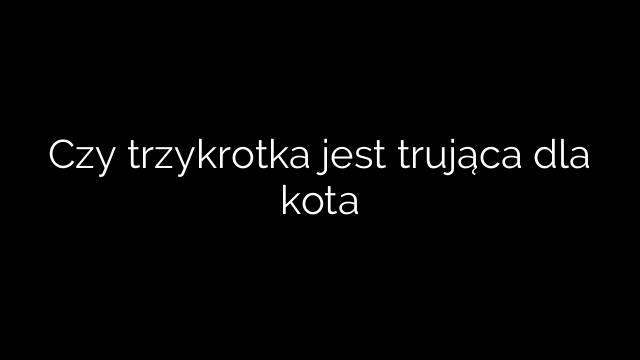 Czy trzykrotka jest trująca dla kota