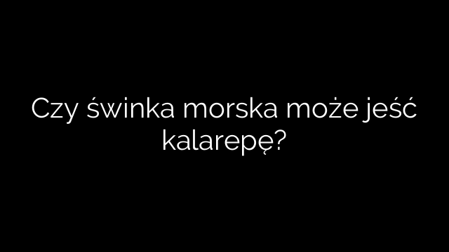 Czy świnka morska może jeść kalarepę?
