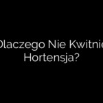 Dlaczego Nie Kwitnie Hortensja?