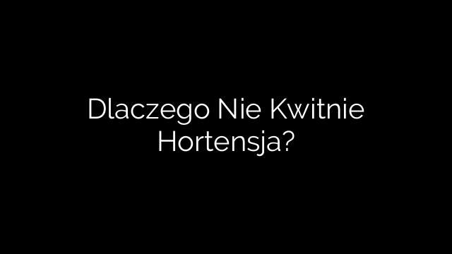 Dlaczego Nie Kwitnie Hortensja?