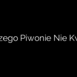Dlaczego Piwonie Nie Kwitną