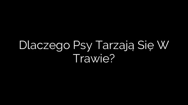 Dlaczego Psy Tarzają Się W Trawie?