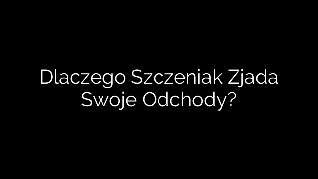 Dlaczego Szczeniak Zjada Swoje Odchody?