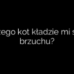 Dlaczego kot kładzie mi się na brzuchu?