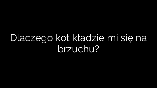 Dlaczego kot kładzie mi się na brzuchu?
