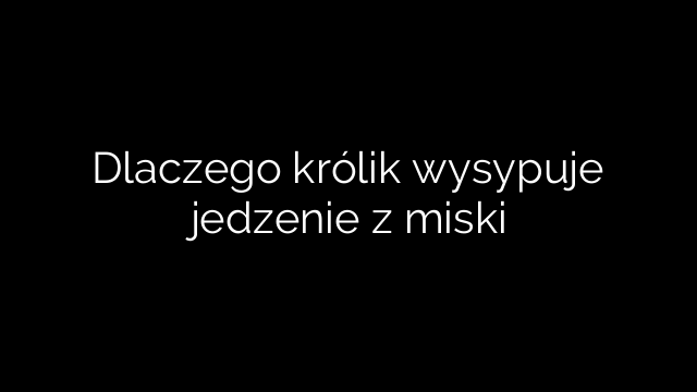 Dlaczego królik wysypuje jedzenie z miski