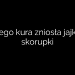 Dlaczego kura zniosła jajko bez skorupki