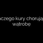 Dlaczego kury chorują na wątrobę