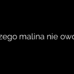 Dlaczego malina nie owocuje