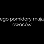 Dlaczego pomidory mają mało owoców
