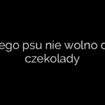 Dlaczego psu nie wolno dawać czekolady