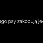 Dlaczego psy zakopują jedzenie